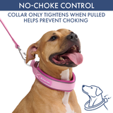 Pink Martingale Collar||size:C,D,E