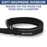 Black Martingale Collar||size:A,B,C,D,E