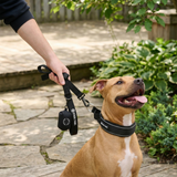 Black Martingale Collar||size:A,B,C,D,E
