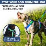 Lime Wave Harness||size:S,M,L