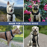 Comfort Control hondentuig zonder trekkracht - Zwart