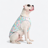 Popsicle Cooling Vest||size:3XL