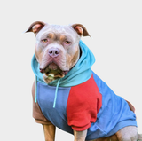 Alpine Mensen-Hoodie
