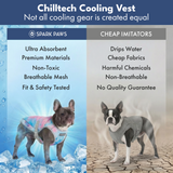 Snow Cone Cooling Vest||size:S,M,L,XL,2XL,3XL,4XL