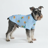 Pineapple Shirt||size:S,M