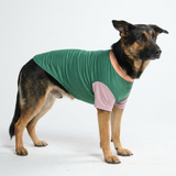 Pistachio Shirt||size:4XL,5XL