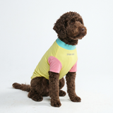 Yuzu Shirt||size:2XL,3XL