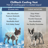 Watermelon Cooling Vest||size:S,M,L,XL,2XL,3XL,4XL