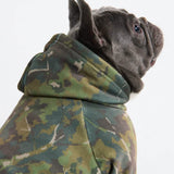 Concrete Wood Dog Hoodie - Moss