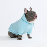 Essential Baby Blue Hoodie||size:S,M,L,XL,2XL,3XL,4XL,5XL