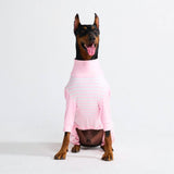 Dog Pajama - Pink Stripes