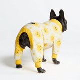 Sunshine PJ