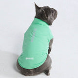 Camiseta para perro con bloqueador solar - Menta
