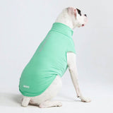 Camiseta para perro con bloqueador solar - Menta
