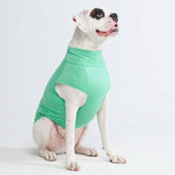 Camiseta para perro con bloqueador solar - Menta