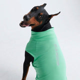 Camiseta para perro con bloqueador solar - Menta