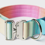 Conjunto de collar táctico para perros - Pastel Icing