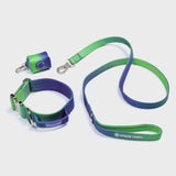 Conjunto de collar táctico para perros - Lime Wave