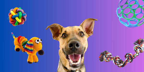 Best Dog Toys for a Well-Behaved Pup – Do you have all 4?