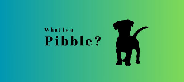 What Is a Pibble? Discover the Sweet Side of This Adorable Nickname