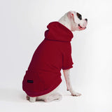 Essential Dog Hoodie - Burgundy