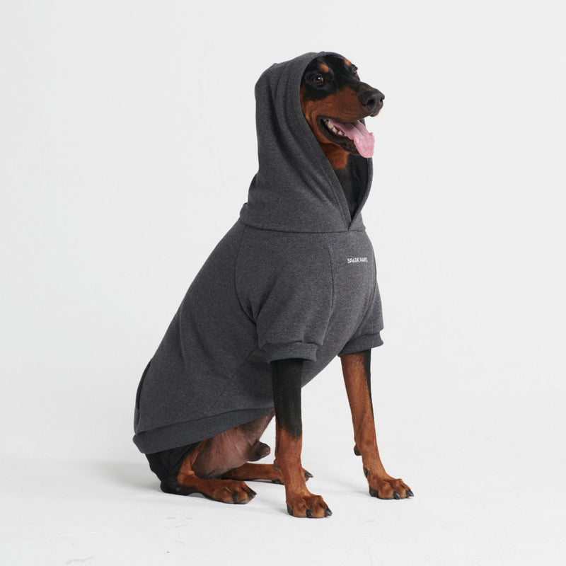 Essential Dog Hoodie - Dark Grey