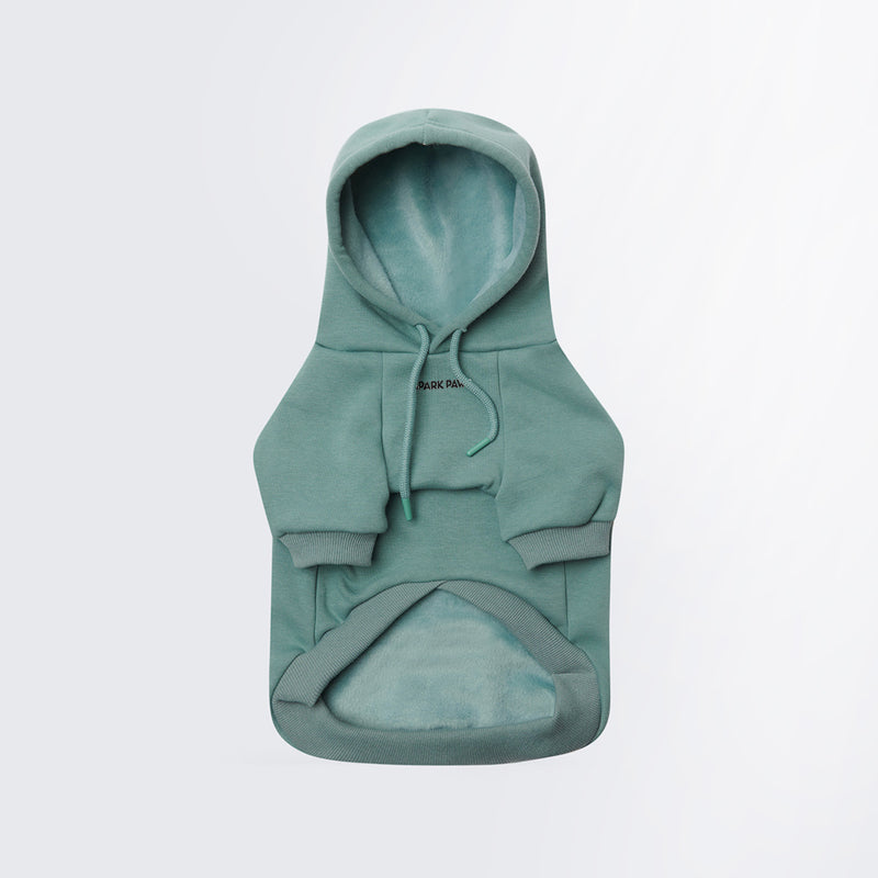 Essential Teal Hoodie