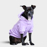 Essential Dog Hoodie - Orchid Purple