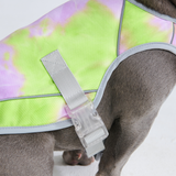 Dog Cooling Vest - Neon Purple