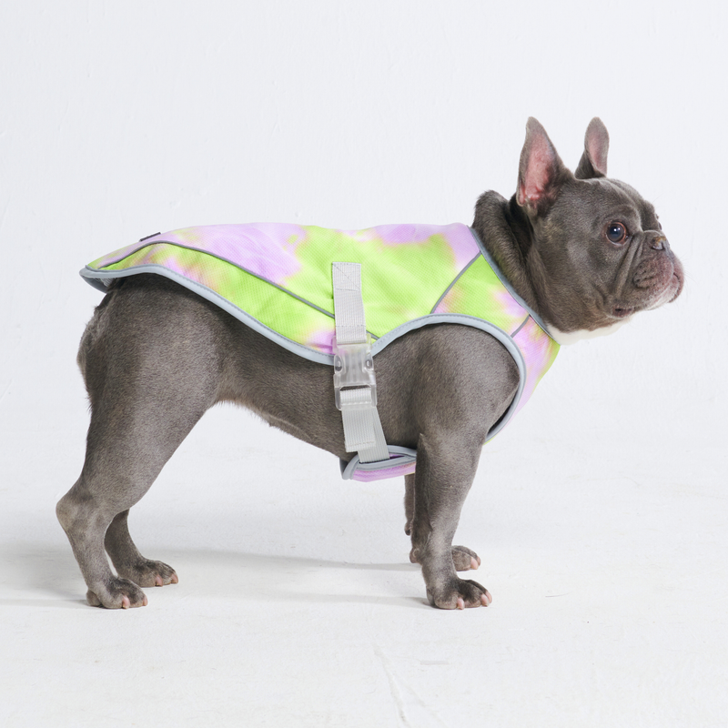 Dog Cooling Vest - Neon Purple