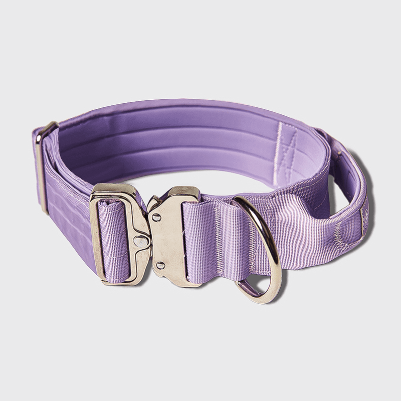 Lilac Collar