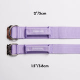 Comfort Control Collar - Lilac