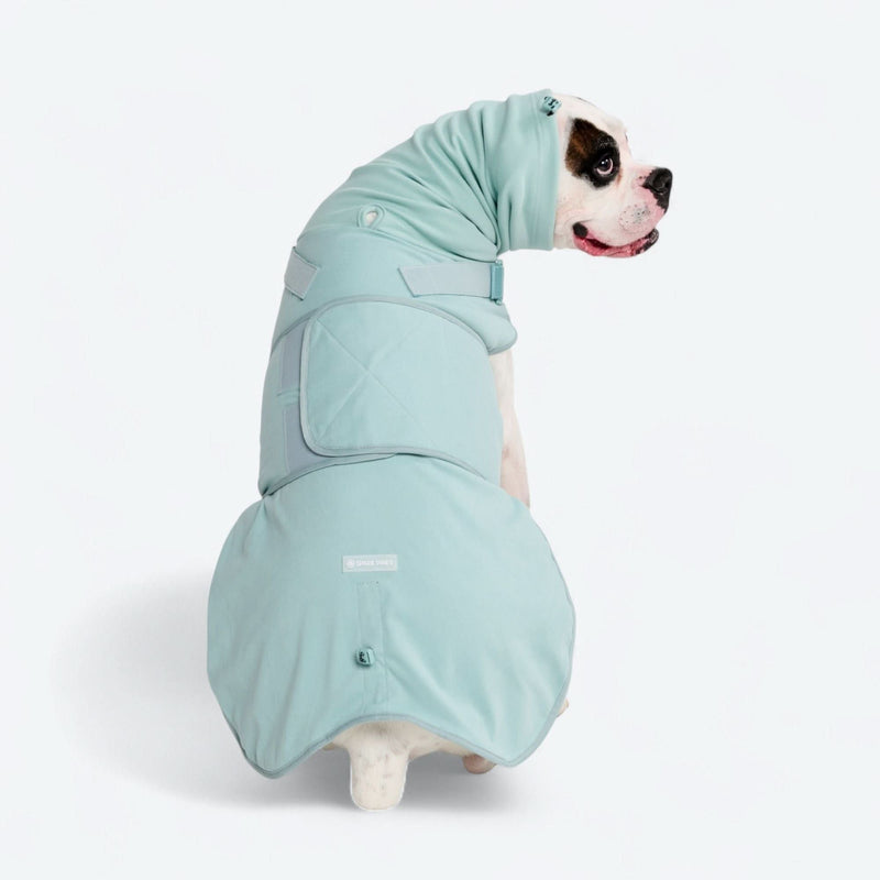 Teal Anti-Anxiety Suit