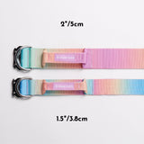 Comfort Control Collar - Pastel Icing