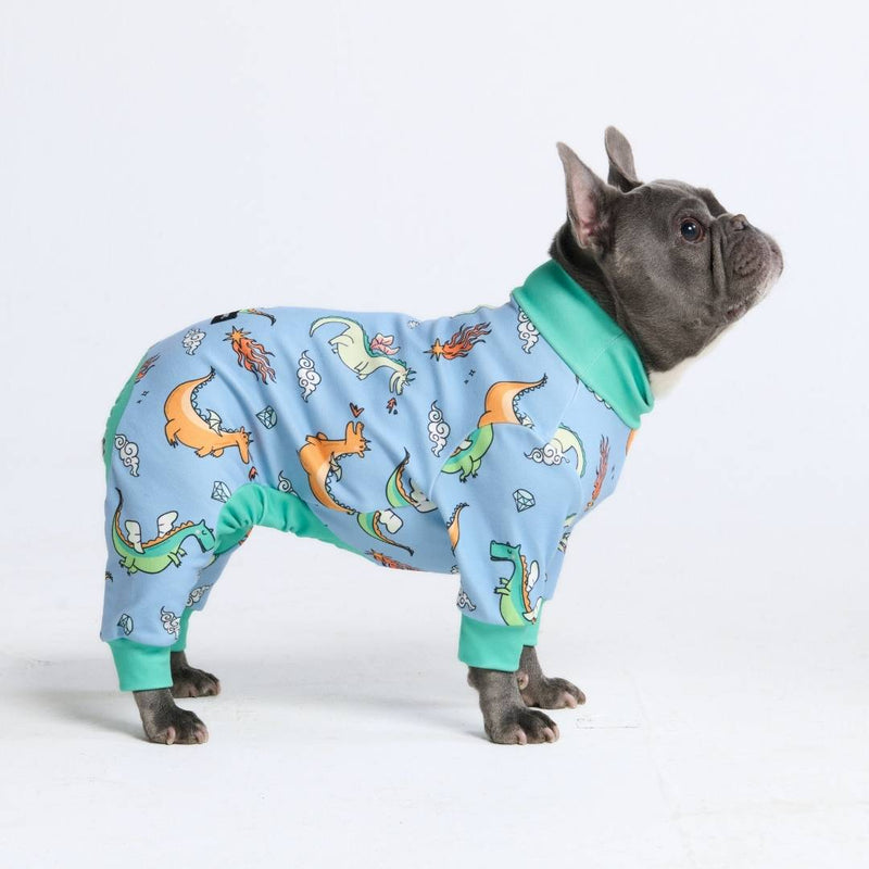 Dog Pajama - Dragons