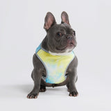 Dog Cooling Vest - Tropical Storm