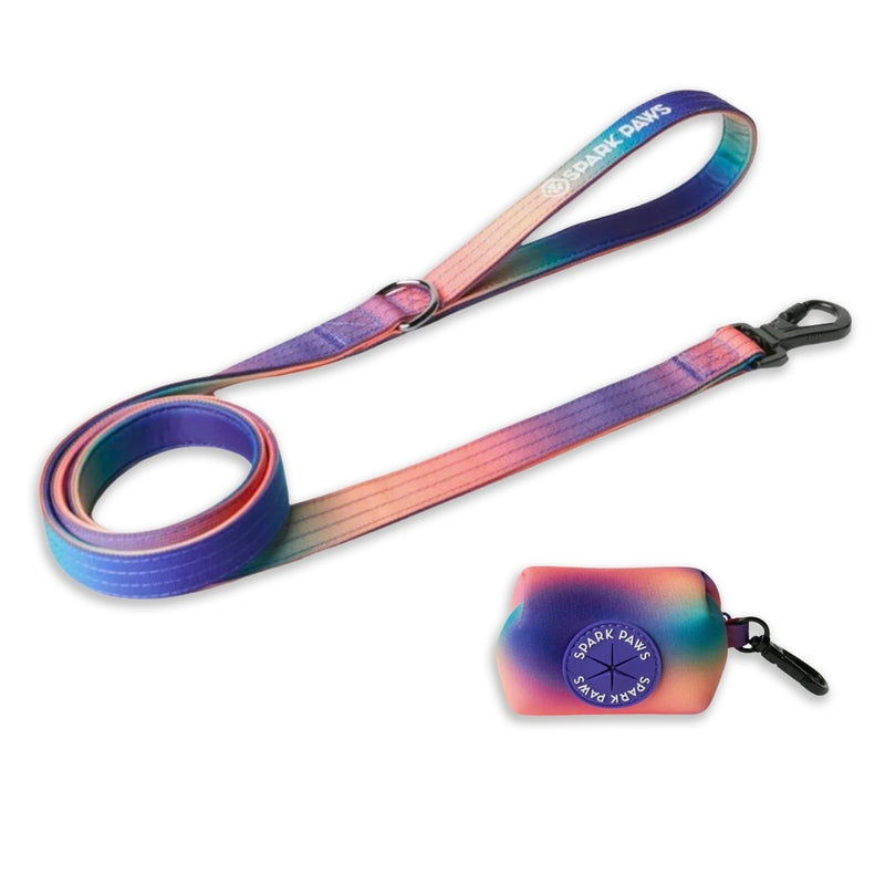 Leash and Poop Bag Holder Set - Kaleidoscope