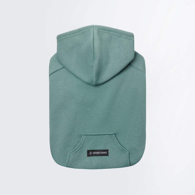 Essential Teal Hoodie