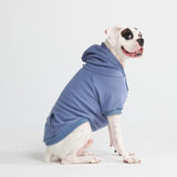 Essential Dog Hoodie - Slate Blue