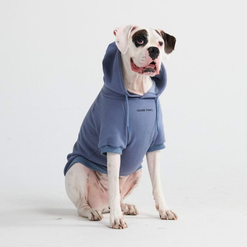 Essential Dog Hoodie - Slate Blue