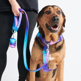 90s Retro Neoprene Leash