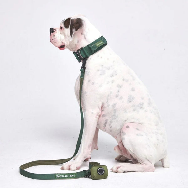 Leash and Poop Bag Holder Set - Army Green