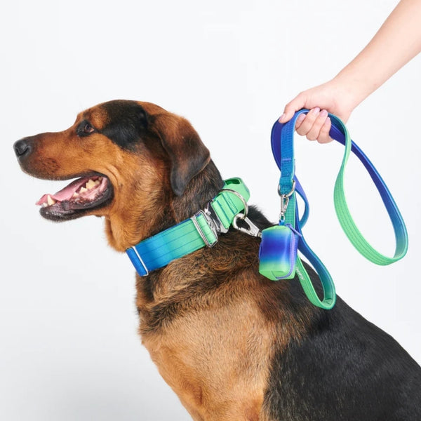 Leash and Poop Bag Holder Set - Lime Wave