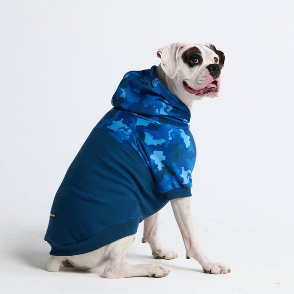 Blue Camo Dog Hoodie