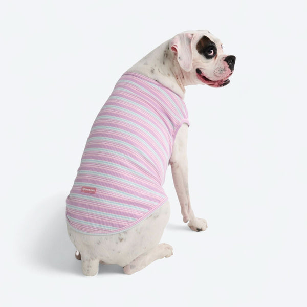 Purple Blue Stripe Shirt