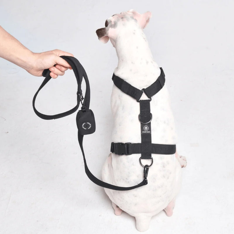 Leash and Poop Bag Holder Set - Black