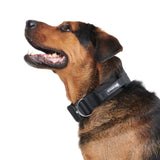 Comfort Control Collar - Black