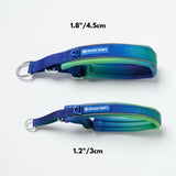 Cushioned Martingale Collar - Lime Wave