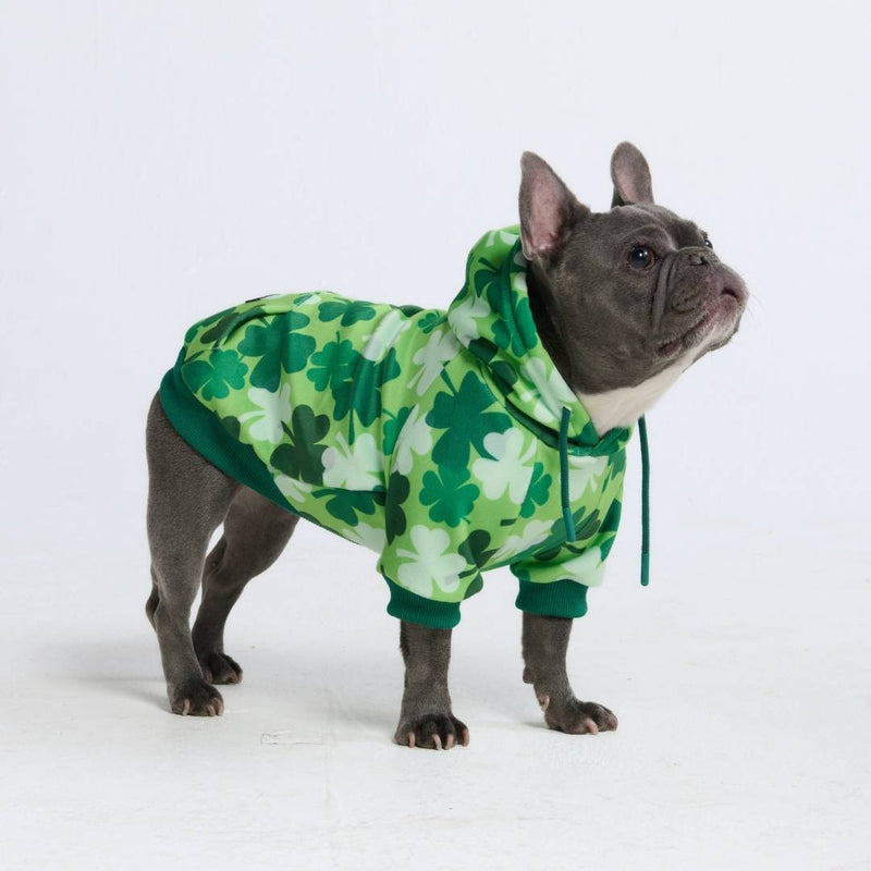 St. Paddy's Dog Hoodie - Shamrocks (Limited Edition)