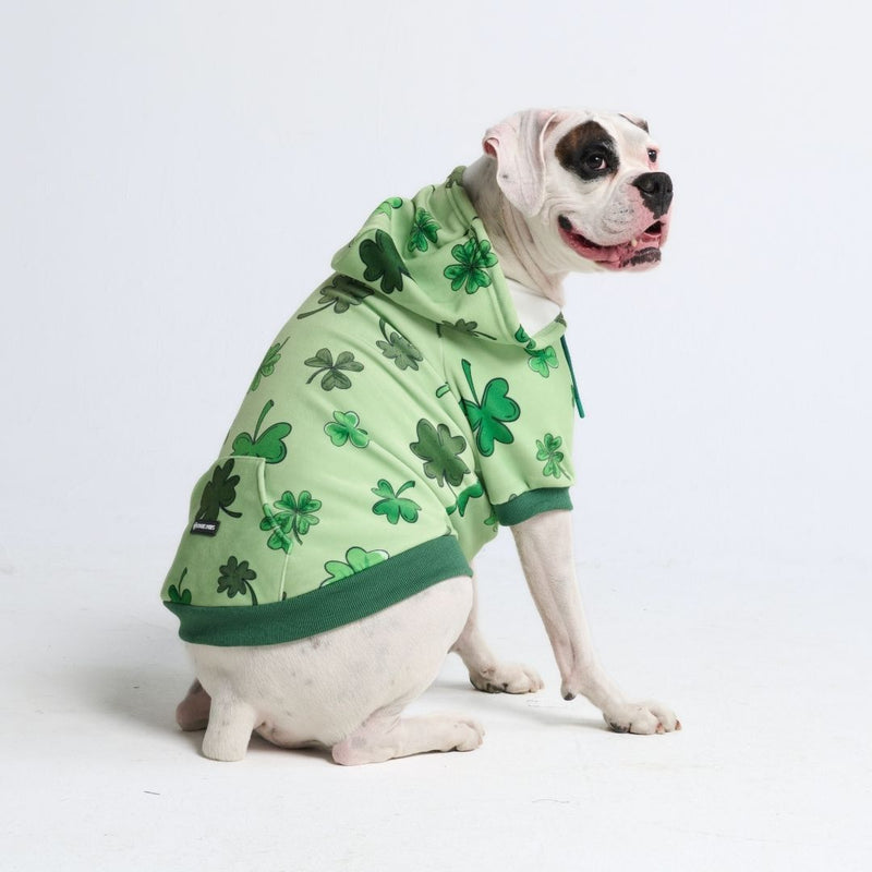 St. Paddy's Dog Hoodie - Light Green (Limited Edition)